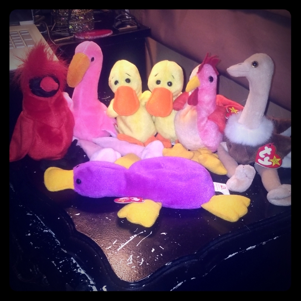 Beanie Baby Bird Bundle